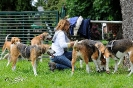 Anglo Treffen in Viersen_53