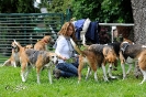 Anglo Treffen in Viersen_54