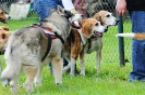 Anglo Treffen in Viersen_55