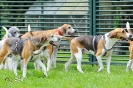 Anglo Treffen in Viersen_6