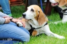Anglo Treffen in Viersen_70