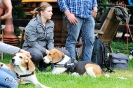 Anglo Treffen in Viersen_71