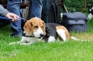 Anglo Treffen in Viersen_72