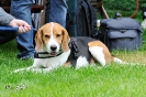 Anglo Treffen in Viersen_73