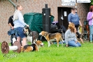 Anglo Treffen in Viersen_86