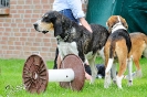 Anglo Treffen in Viersen_87