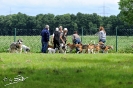 Anglo Treffen in Viersen_8