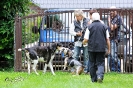 Anglo Treffen in Viersen_97