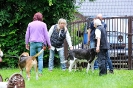Anglo Treffen in Viersen_99